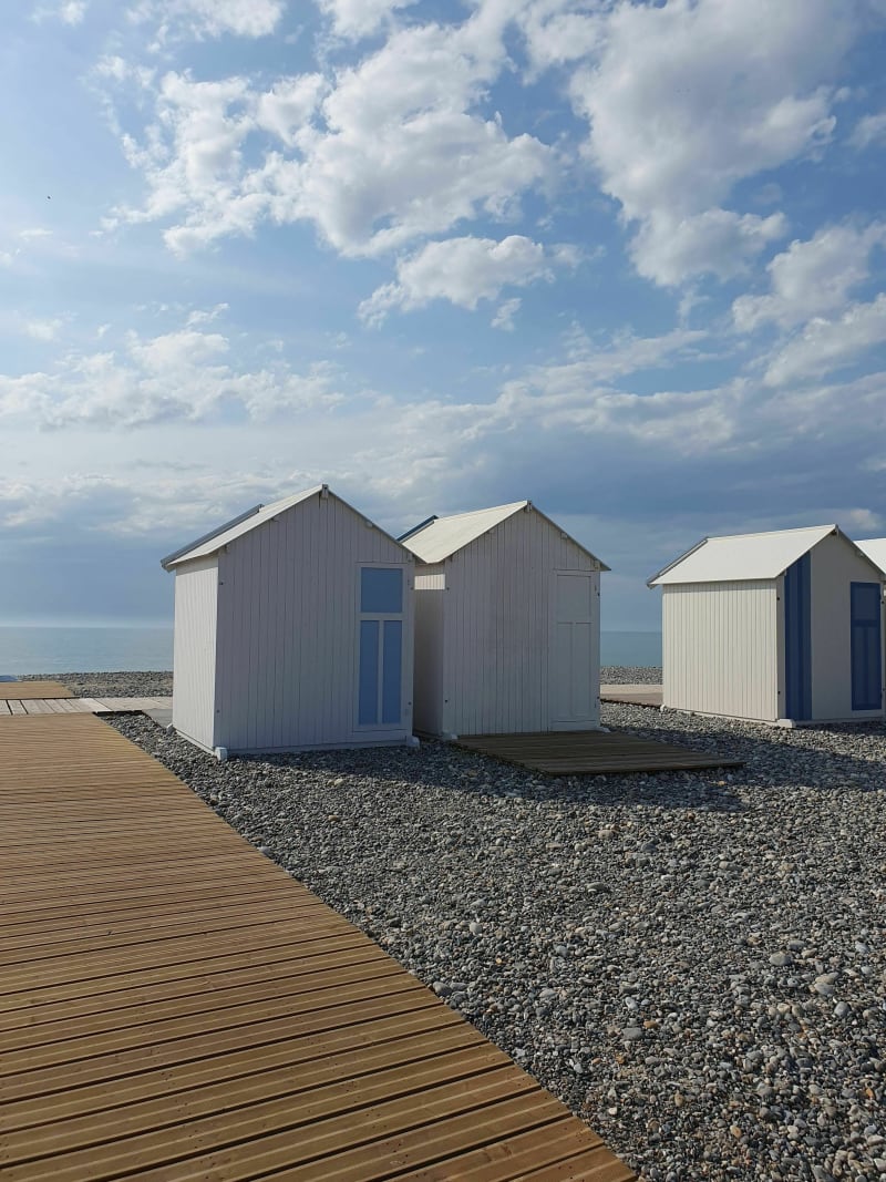 Des galets aux phoques à Cayeux-sur-Mer - Cayeux-sur-Mer