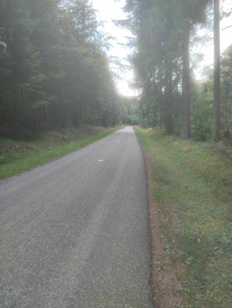 Klingenthal Grendel et retour sur Obernai - Obernai