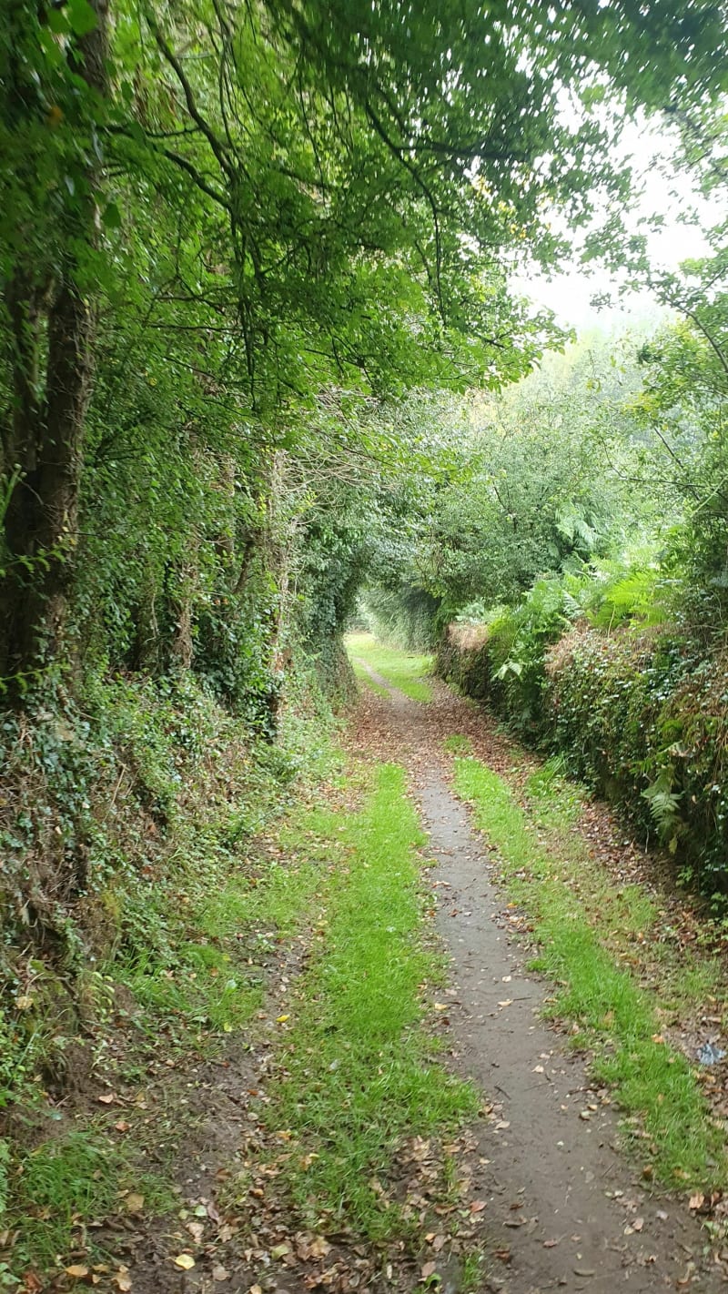 Balade des Sept Saints - Belz