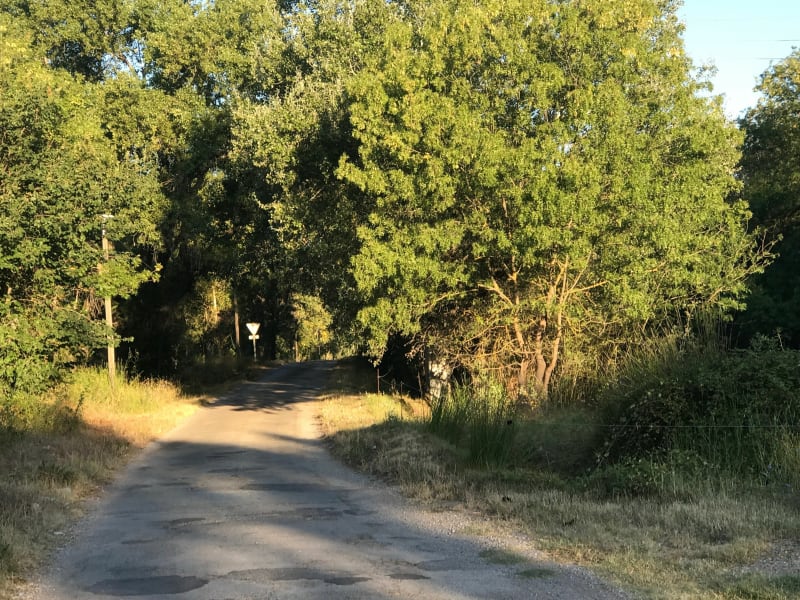 Vers la Bouverie par Palayson - Roquebrune-sur-Argens