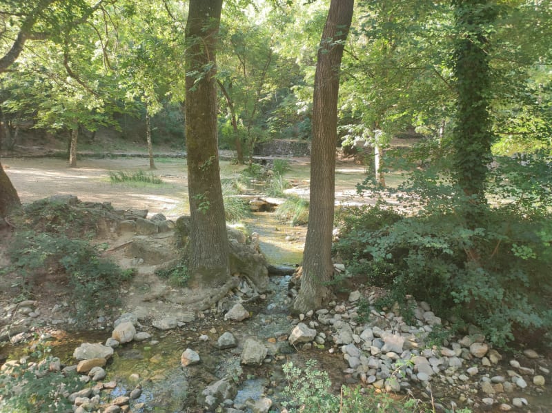 Wandel naar de bronnen van Nayes in Saint Zacharie - Saint-Zacharie