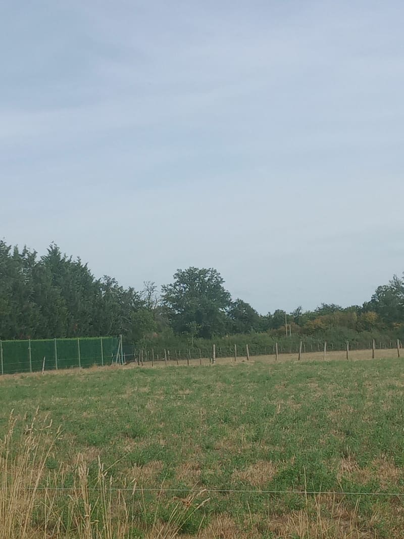 Balade par Pouilly-lès-Feurs depuis Épercieux à vélo - Épercieux-Saint-Paul