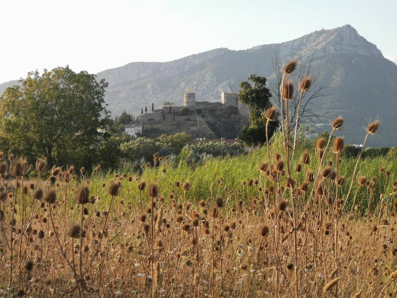 Le paradis de l'Espace Nature Départemental du Plan La Garde - La Garde