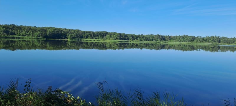 Tour de l'etang Saint Bonnet Tronçais - Saint-Bonnet-Tronçais