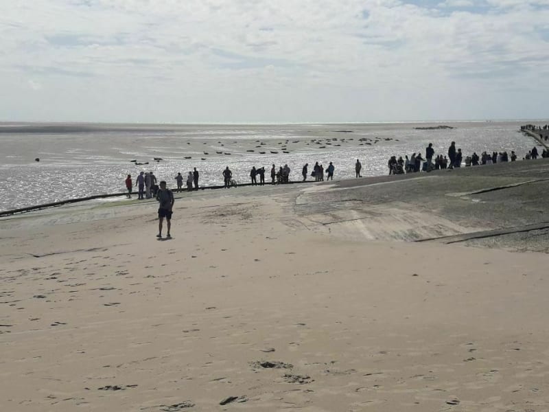Baie d'Authie - Le grand tour - de Fort Mahon à Berck - Fort-Mahon-Plage