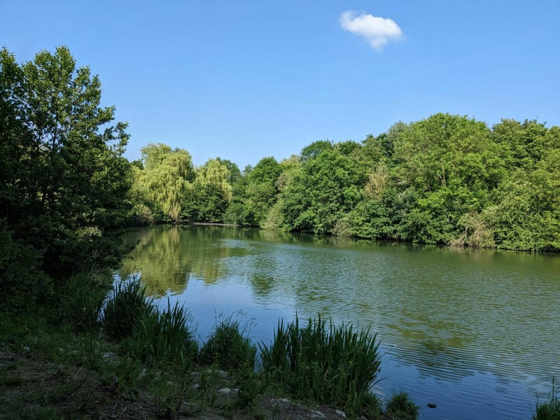 Sur les chemins de campagne autour de Villeneuve d'Ascq. - Villeneuve-d'Ascq