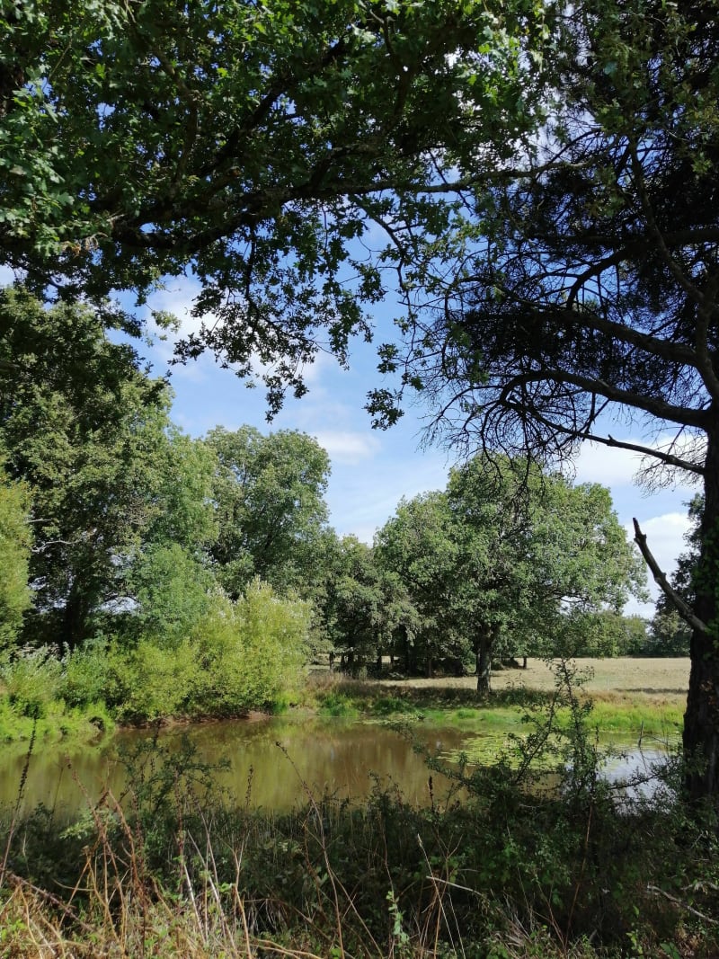 Boucle des trois communes autour d'Aubigny - La Boissière-des-Landes