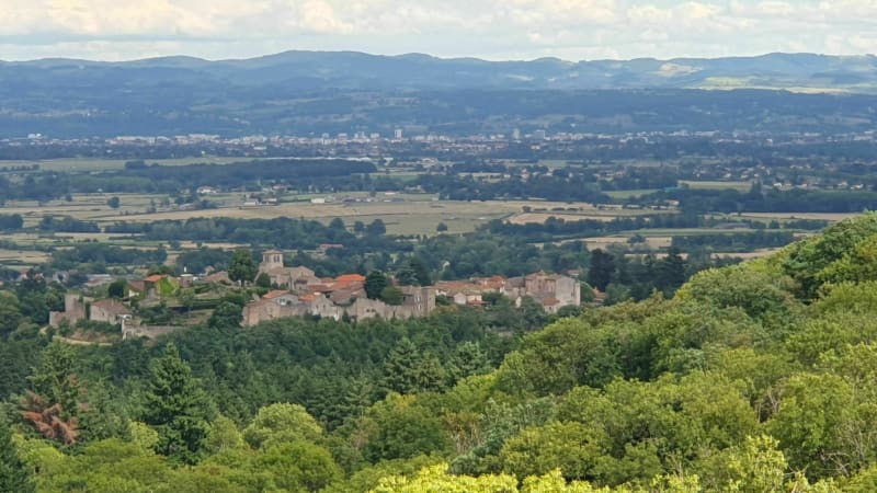 La forêt de Pardières - Saint-Haon-le-Châtel