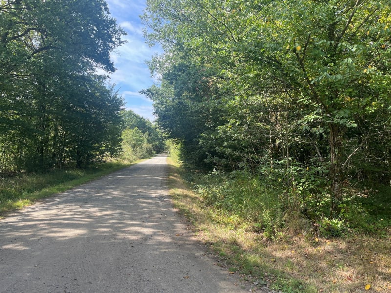 Tour de la Forêt de Grasla - Les Brouzils
