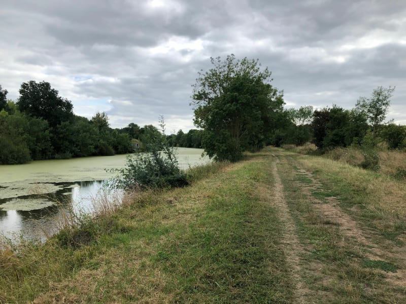 Quantinière - Bord de Loire - Trélazé