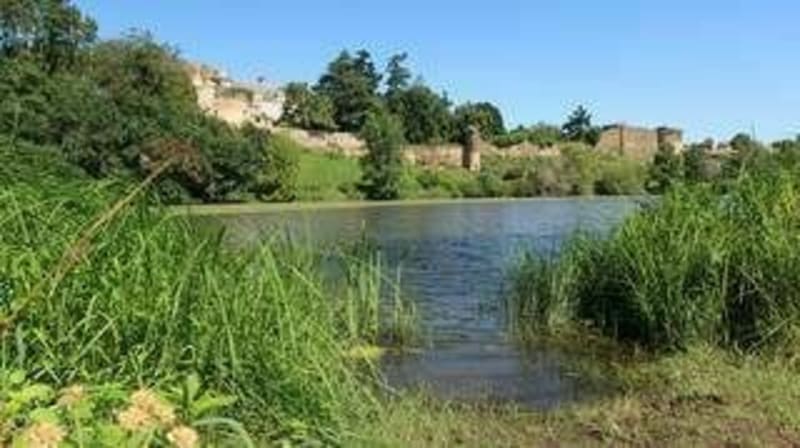 Rando Cléré sur Layon - Cléré-sur-Layon