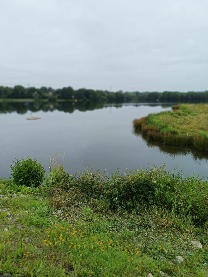 Belle petite balade au lac de la Ferté-Macé - La Ferté-Macé