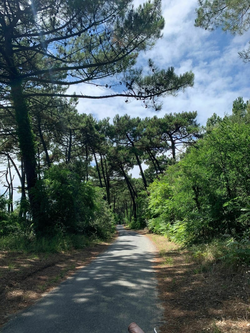 La Palmyre - la plage de la Bouverie - Les Mathes