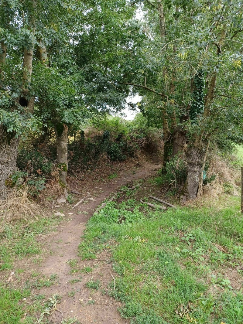 Saint-Étienne-de-Montluc et sa boucle nature - Saint-Étienne-de-Montluc