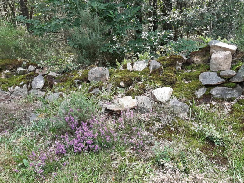 Belle balade verte vers la St-Frère - Blaison-Saint-Sulpice