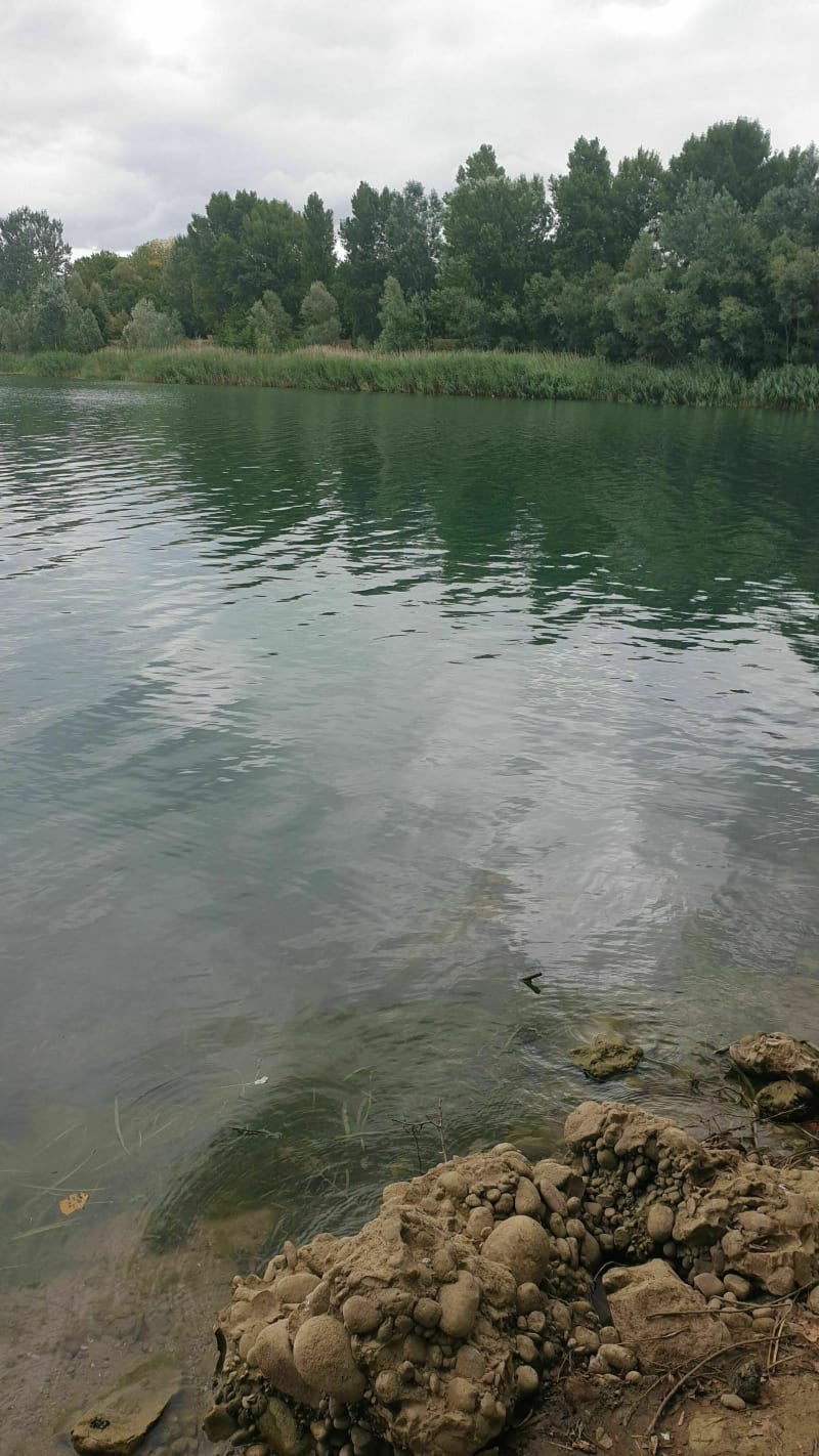 De Lozanne au plan d'eau du Colombier à Anse - Lozanne