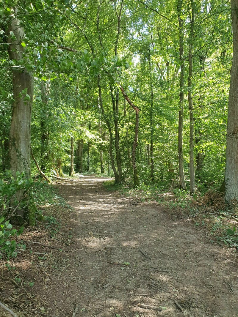 Belle balade entre forêt et champs à Brebotte - Brebotte