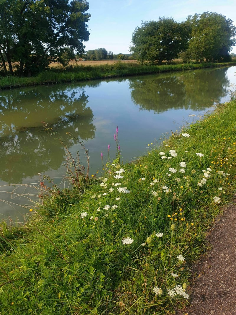 Bord du canal., Champvert - Verneuil - Champvert