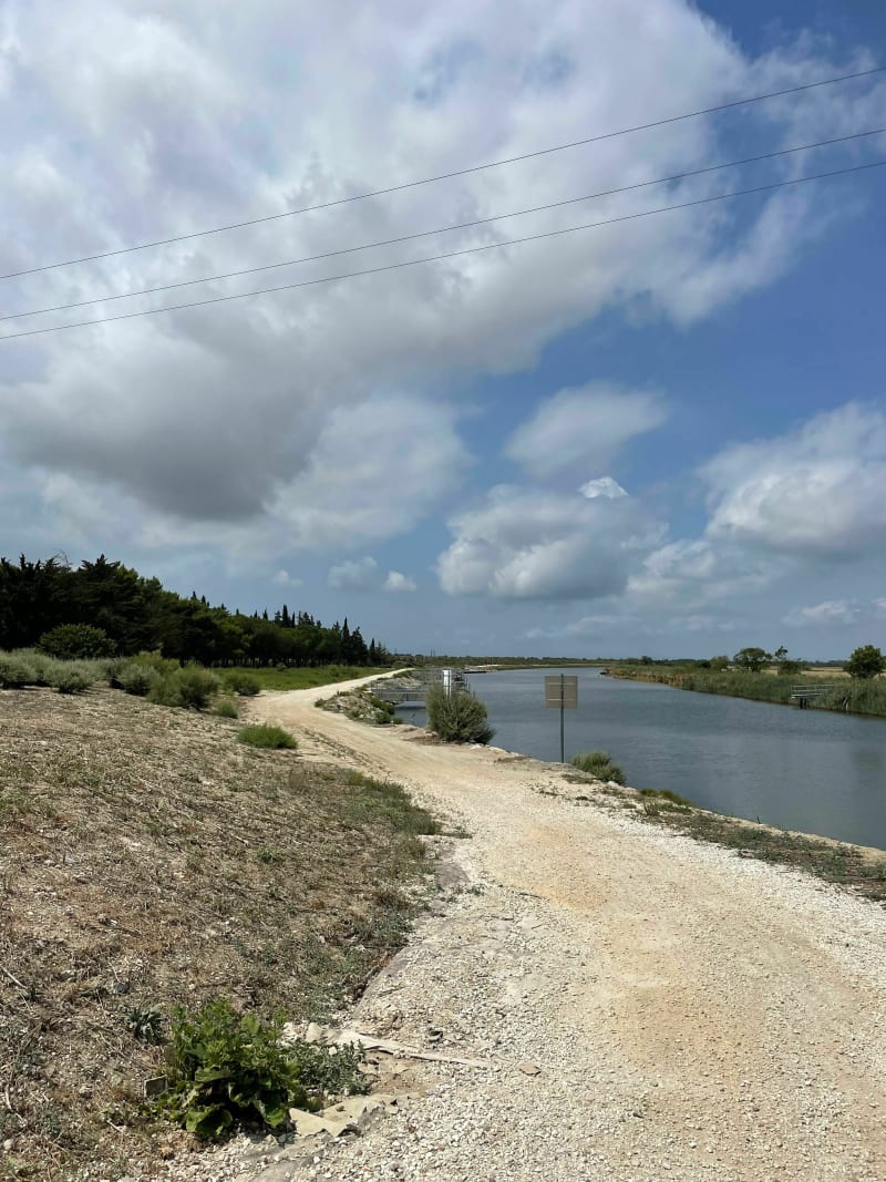 D'Aigues Mortes à la Grande Motte, le long du canal du Rhône à vélo - Aigues-Mortes