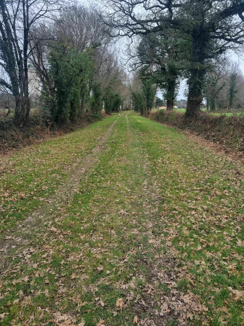 Boucle fléchée bleue à La Boissière-des-Landes - La Boissière-des-Landes