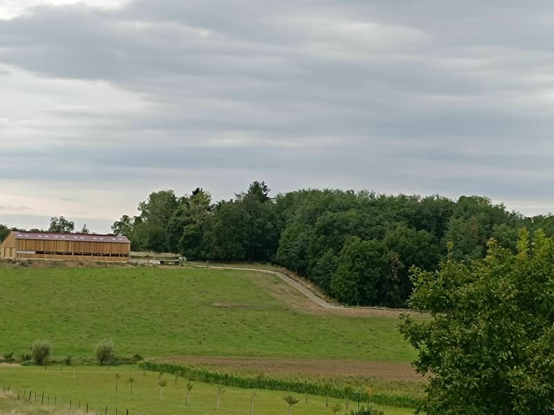 Boucle Waltenheim -Geispitzen - Waltenheim
