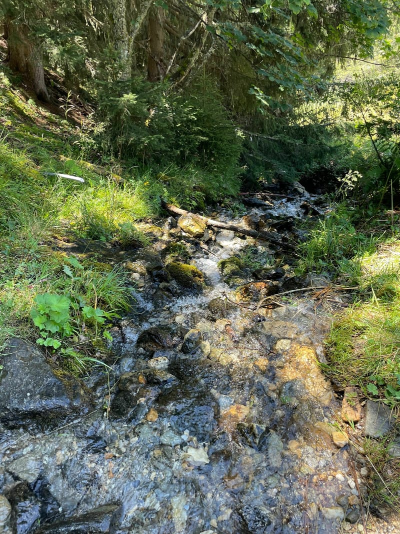 Fraises des bois et framboises aux Arc - Bourg-Saint-Maurice
