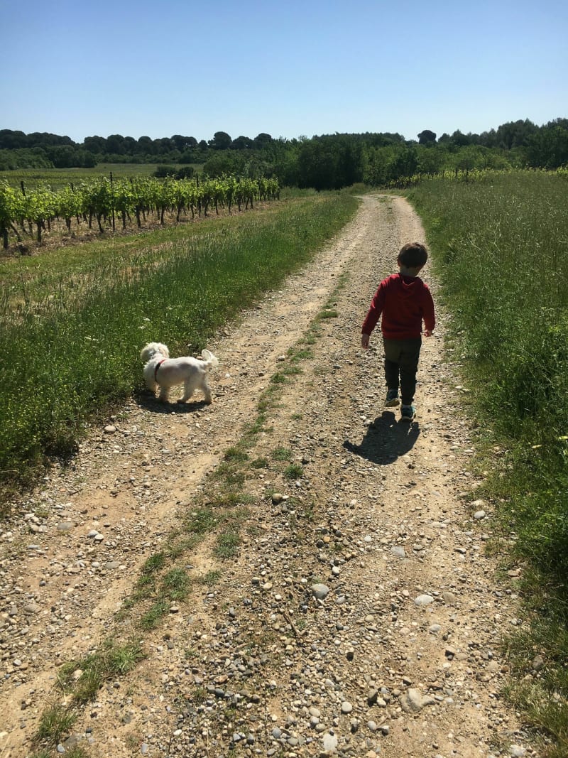 Chemin des crêtes par Villegailhenc et Villejean à VTT - Villemoustaussou