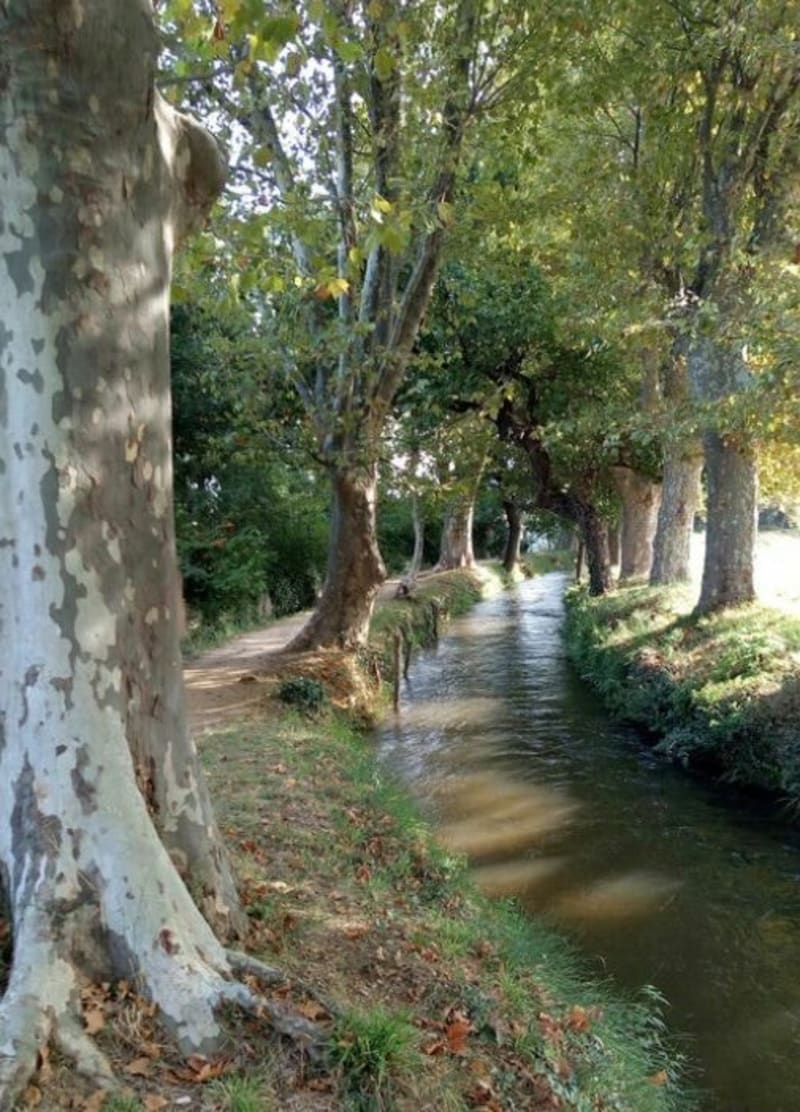 Belle balade dans Canohès et Toulouges. - Canohès