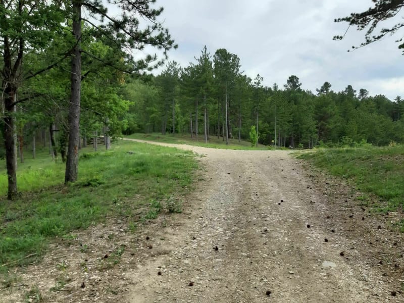 Randonnée en Forêt de Pélicier - Col de la Mort d'Imbert - Dauphin
