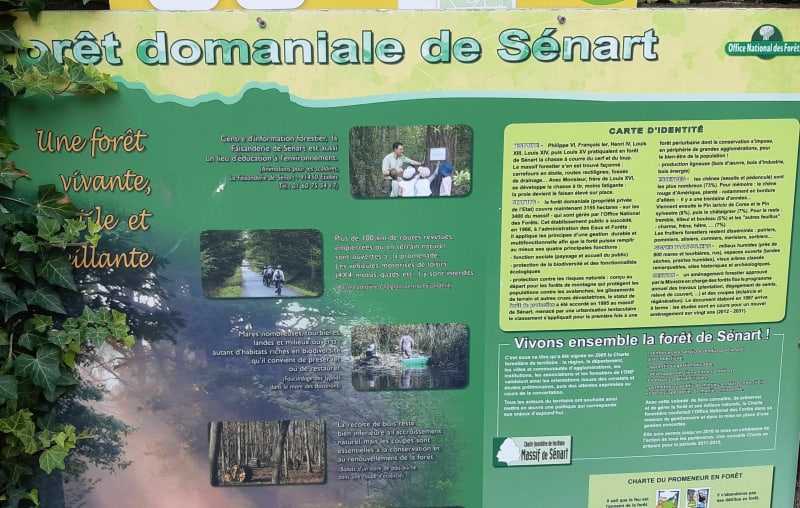 Sénart-bos via La Mare aux Biches - Draveil