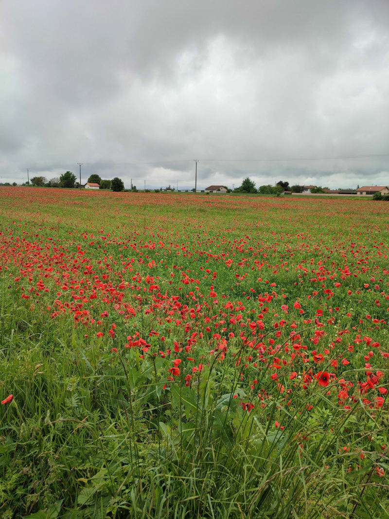 Bonne balade aux Bayannins, Chambois et Bondy - Bourg-de-Péage