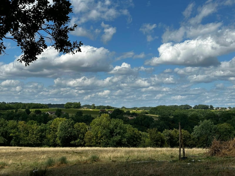 Entre forêts et vignes à Sigoulès - Sigoulès-et-Flaugeac