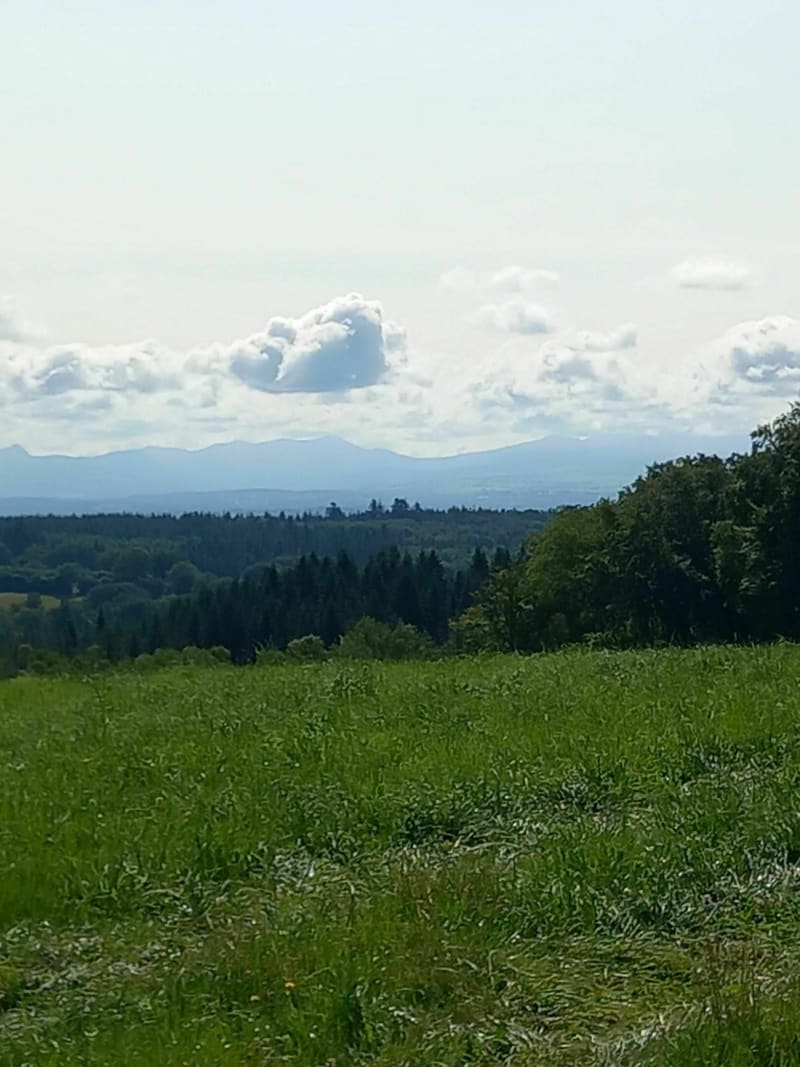 Balade dans la campagne Limousine depuis Montbessier - La Meyze