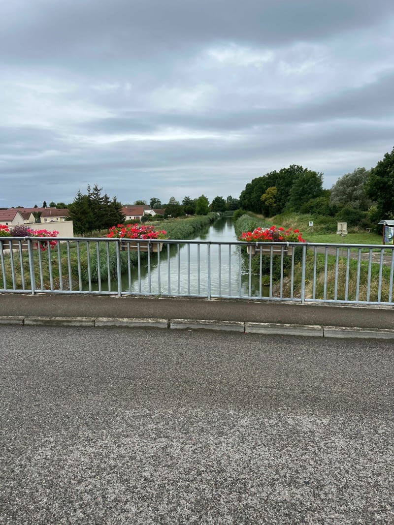 Balade au calme à vélo à Damparis - Damparis