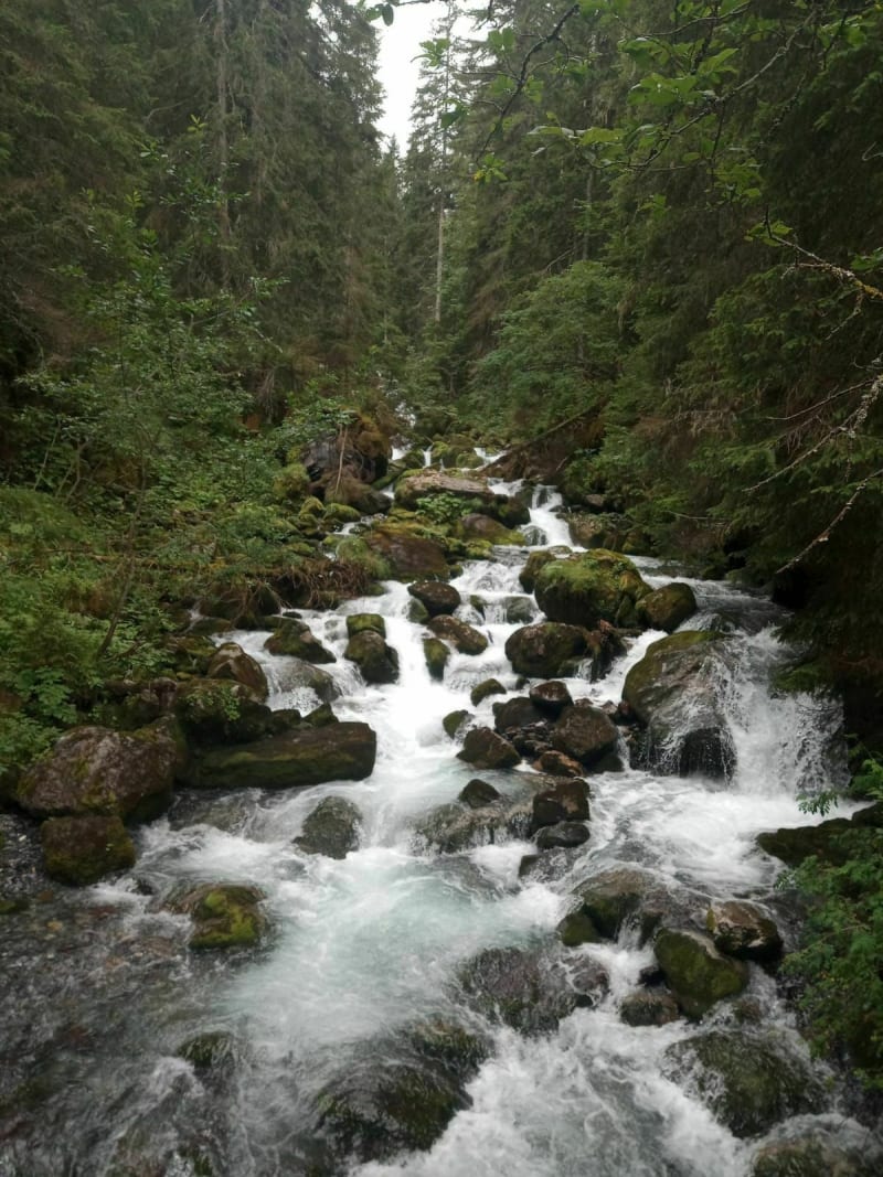 Belle randonnée autour de la Cascade du Rouget - Sixt-Fer-à-Cheval