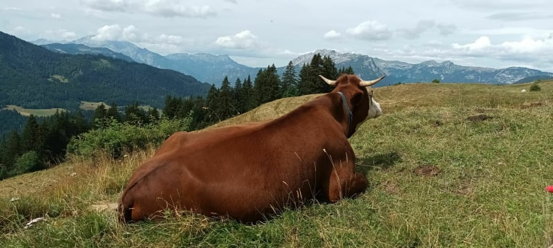 Balade facile en passant par le lac et la retenue Lachat - La Clusaz