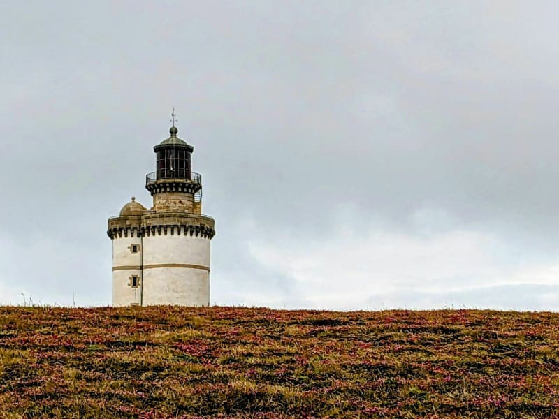 Pointe du Stiff et côte Sud de Ouessant, Île de contrastes. - Ouessant