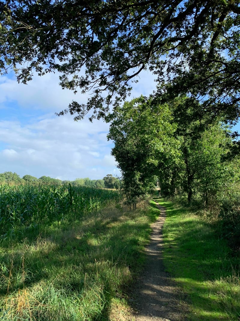 Rando aux abords de Vern sur Seiche - Vern-sur-Seiche