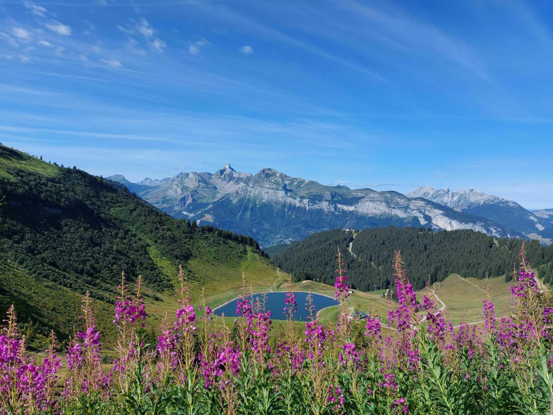 Entre deux lacs et la Tête du Pré des Saix - Arâches-la-Frasse