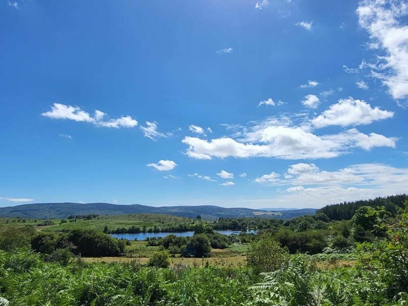 Balade en âne entre Les Signoles Laouzas - Fraisse-sur-Agout