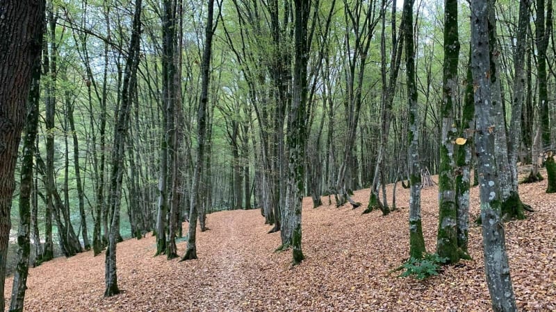 Lac de la Dathé, viré en Normandie - Noues de Sienne