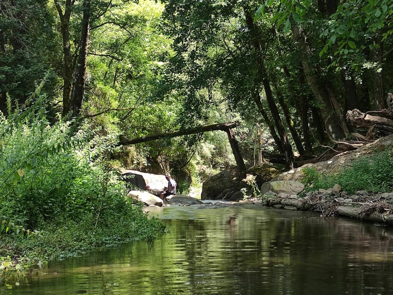 Sentier de Zalana - Zalana