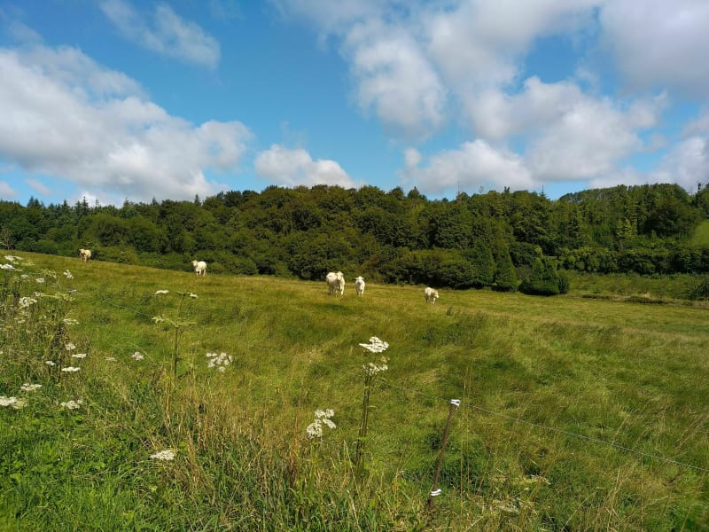 Chemins de campagne, par Coulomby - Coulomby