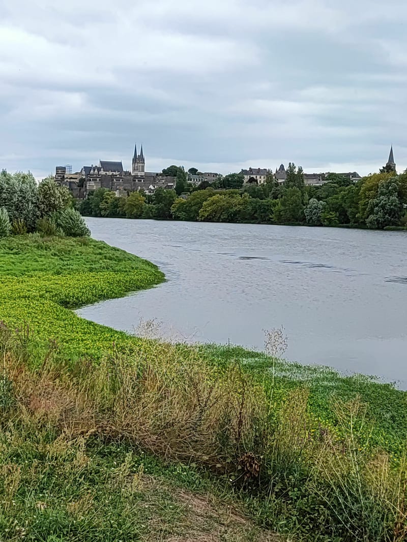 Boucle Angers Bouchemaine - Angers