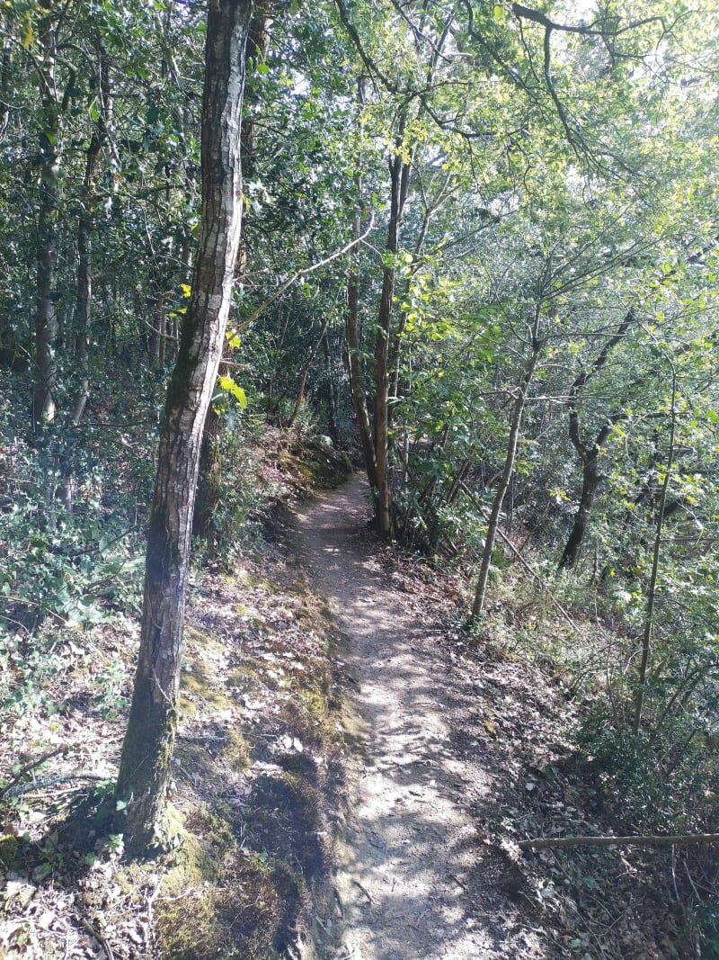 Balade sur les rives du lac de Graon - Saint-Vincent-sur-Graon