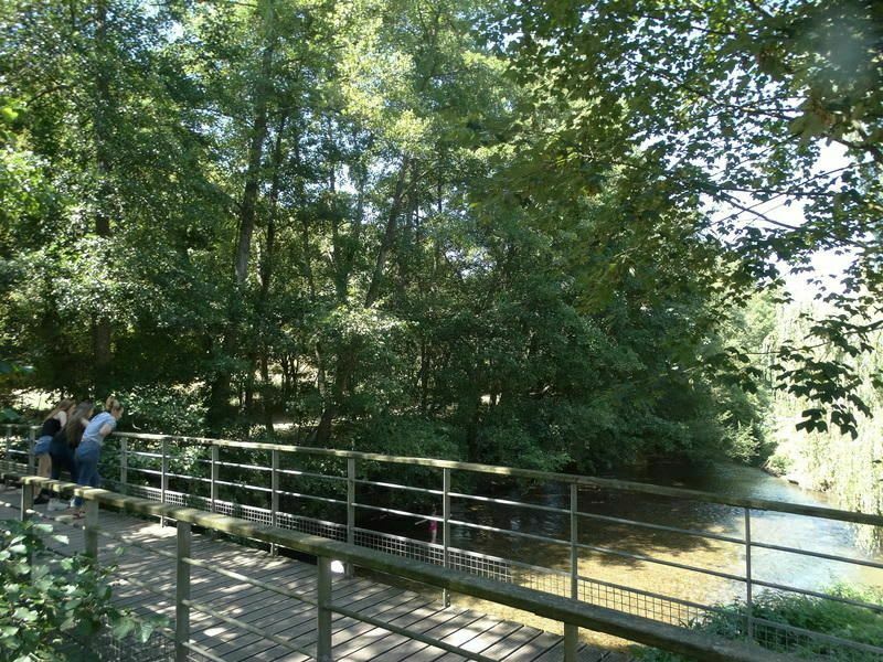 Promenade sur les bords de la Touques - Départ : Lisieux - Lisieux
