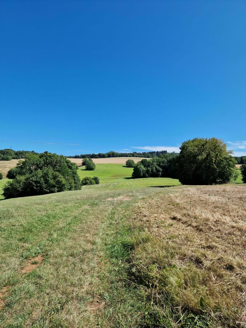 Du Cleyzieu au Mont d'Ange - Cleyzieu