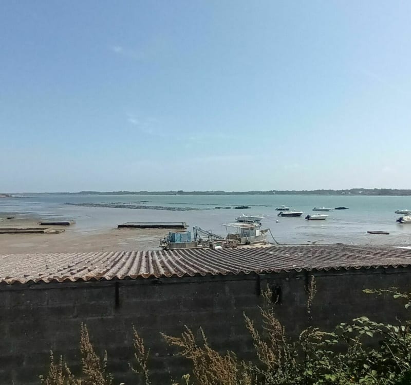 Les marais salant de Mesquer - Mesquer