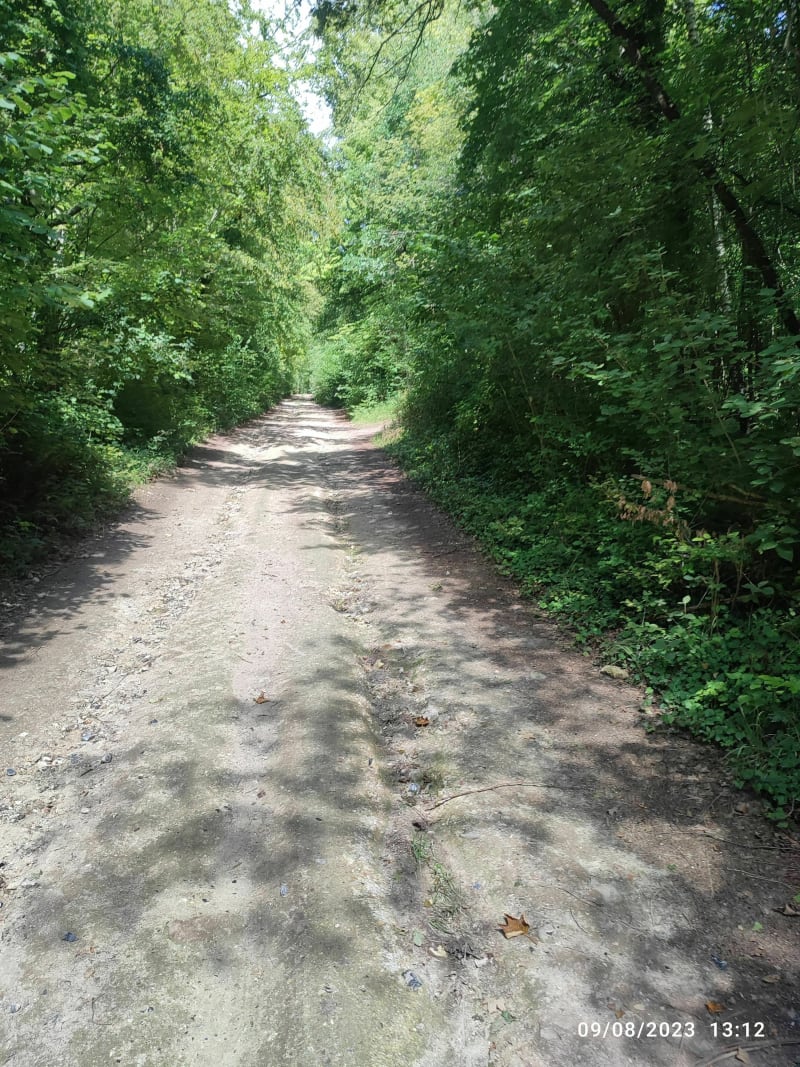Balade au Bois de Berny - Ailly-sur-Noye