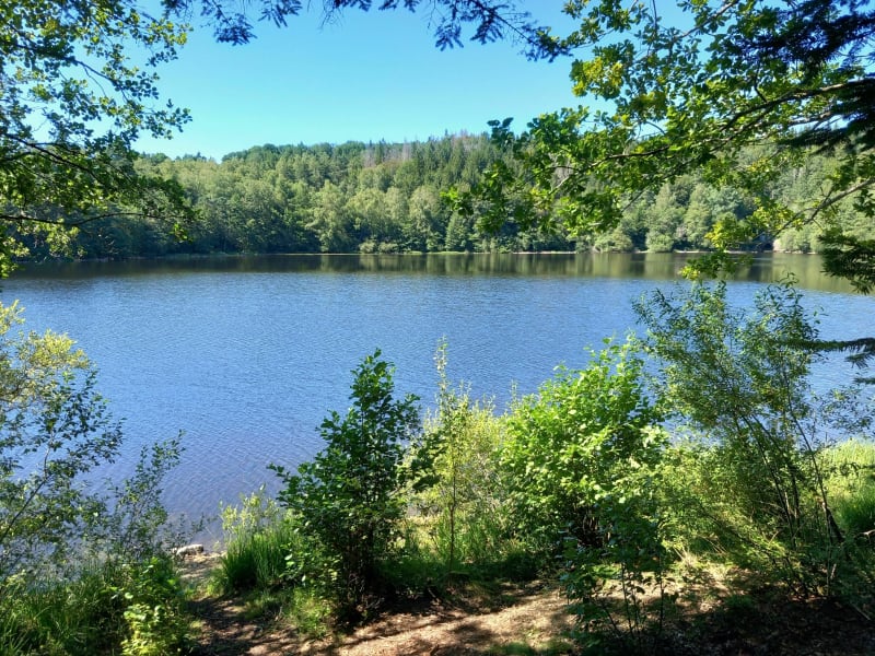 Tour du lac Crégut - Trémouille